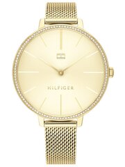 Naiste käekell Tommy Hilfiger Kelly 1782114 цена и информация | Женские часы | hansapost.ee