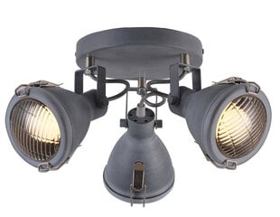 Candellux потолочный светильник Crodo цена и информация | Потолочные светильники | hansapost.ee