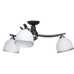 Luminex потолочный светильник Avia цена и информация | Потолочные светильники | hansapost.ee
