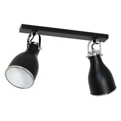 Luminex потолочный светильник Bjorn цена и информация | Потолочные светильники | hansapost.ee