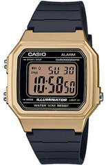 Casio Collection meeste käekell цена и информация | Casio Мужские аксессуары | hansapost.ee