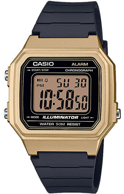 Casio Collection meeste käekell цена и информация | Käekellad meestele | hansapost.ee