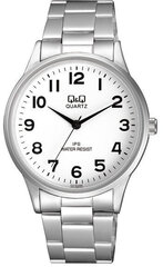 Часы мужские Q&Q C214J204 цена и информация | Мужские часы | hansapost.ee