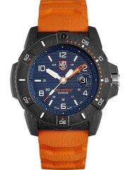 Meeste käekell Luminox Navy SEAL XS.3603 цена и информация | Мужские часы | hansapost.ee