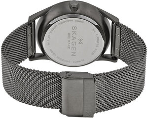 Мужские часы Skagen Holst SKW 6180 цена и информация | Мужские часы | hansapost.ee