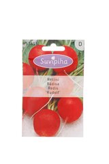 Redis "Rudolf", 5g цена и информация | Семена овощей, ягод | hansapost.ee