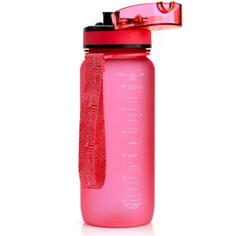Pudel Meteor 650 ml pink 74581, 61372 цена и информация | Joogipudelid | hansapost.ee