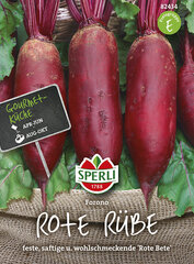 Punapeet Forono цена и информация | Семена овощей, ягод | hansapost.ee