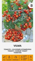 Томаты VILMA цена и информация | Семена овощей, ягод | hansapost.ee