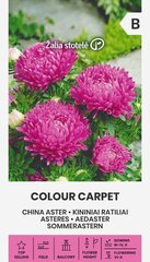 Астра китайская Colour carpet цена и информация | Семена цветов | hansapost.ee
