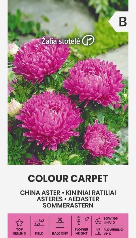 Hiina aster Colour carpet цена и информация | Lilleseemned | hansapost.ee