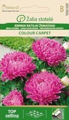 Hiina aster Colour carpet hind ja info | Lilleseemned | hansapost.ee