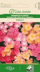 Однолетний флокс Однолетние Cecily цена и информация | Семена цветов | hansapost.ee