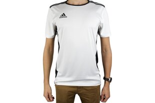 Meeste T-särk Adidas Entrada 18 CD8438, valge hind ja info | Spordiriided meestele | hansapost.ee