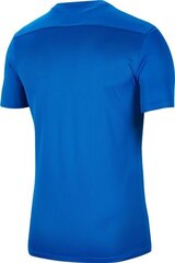 Мужская футболка Nike цена и информация | Мужская спортивная одежда | hansapost.ee