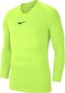 Särk meestele Nike Dry Park First Layer AV2609702, roheline hind ja info | Spordiriided meestele | hansapost.ee