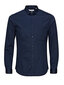 Meeste särk Jjprparma Shirt L/S 12097662 цена и информация | Triiksärgid ja särgid meestele | hansapost.ee