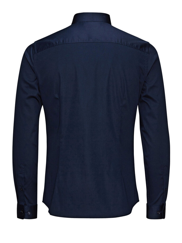 Meeste särk Jjprparma Shirt L/S 12097662 цена и информация | Triiksärgid ja särgid meestele | hansapost.ee