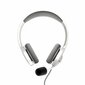 Kõrvaklapid mikrofoniga Energy Sistem 452156 цена и информация | Kõrvaklapid | hansapost.ee