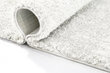 Vaip Shaggy White, 60x100 cm цена и информация | Vaibad | hansapost.ee