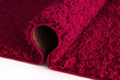 Vaip Shaggy Red, 120x170 cm hind ja info | Vaibad | hansapost.ee