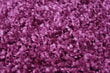 Vaip Shaggy Violet, 120x170 cm hind ja info | Vaibad | hansapost.ee