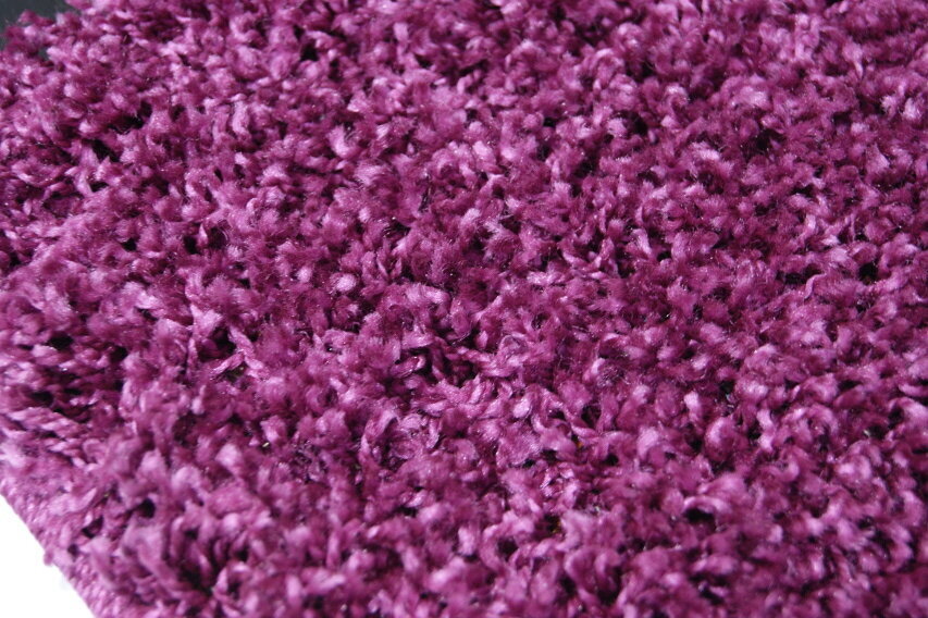 Vaip Shaggy Violet, 120x170 cm hind ja info | Vaibad | hansapost.ee