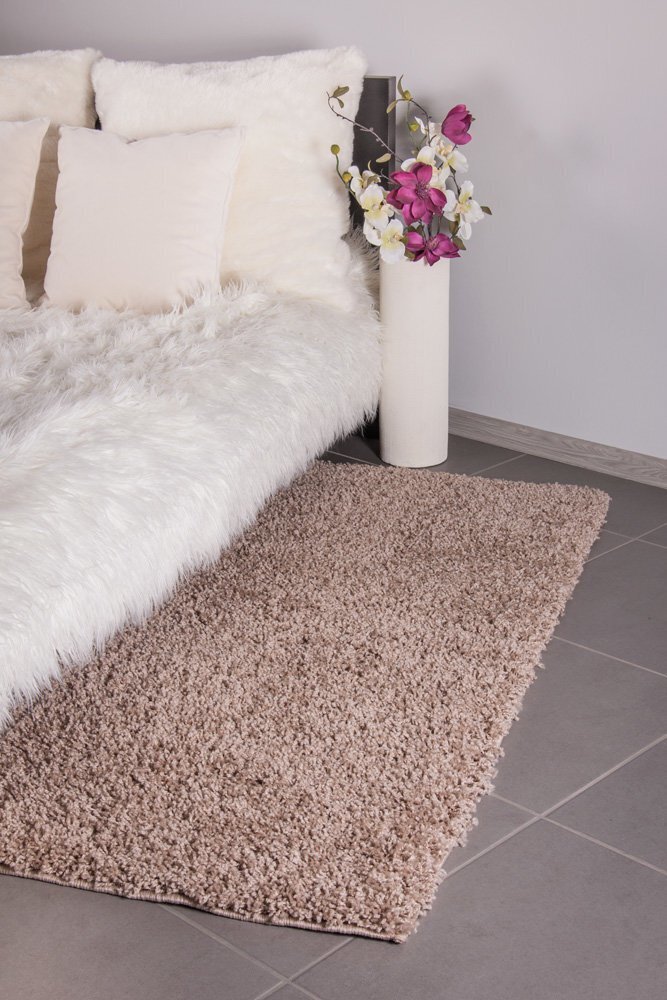 Vaip Shaggy Cappucino, 100x150 cm hind ja info | Vaibad | hansapost.ee