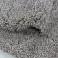 Ayyildiz vaip Fluffy Beige 3500 160x230 cm цена и информация | Vaibad | hansapost.ee