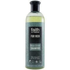 Sinise seedriga šampoon meestele Faith In Nature 400 ml hind ja info | Šampoonid | hansapost.ee