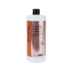 Taastav šampoon kaeraekstraktiga Brelil Numero Restructuring Shampoo With Oats, 1000 ml hind ja info | Šampoonid | hansapost.ee