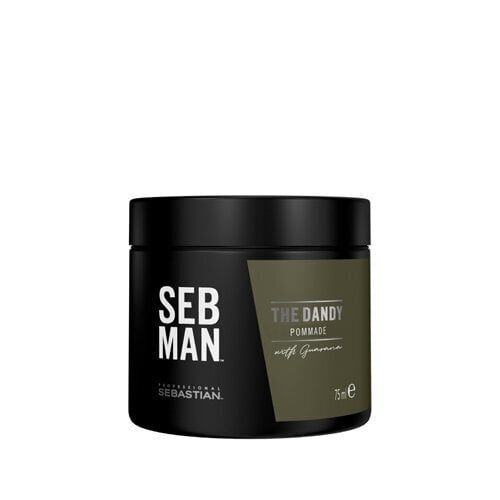 Juuksepumat meestele Sebastian Professional SEB MAN The Dandy Shiny 75 ml hind ja info | Juuste viimistlusvahendid | hansapost.ee