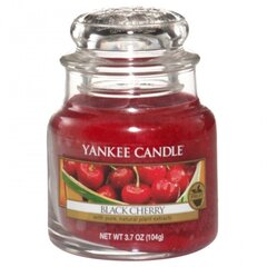 Ароматическая свеча Yankee Candle Black Cherry, 104 г цена и информация | Подсвечники, свечи | hansapost.ee