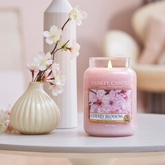 Ароматическая свеча с цветущей вишней Yankee Candle Cherry Blossom, 623 г цена и информация | Подсвечники, свечи | hansapost.ee