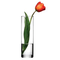 Pasabahce ваза Flora, 26 см цена и информация | Flora Мебель и домашний интерьер | hansapost.ee