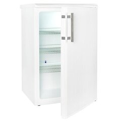 Snaigė CC14SM-S6004F цена и информация | Холодильники | hansapost.ee