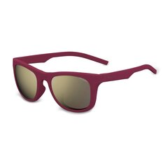 Солнцезащитные очки для женщин и мужчин Polaroid - PLD6070S 39275 цена и информация | Солнцезащитные очки для мужчин | hansapost.ee