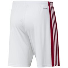 Spordipüksid meestele Adidas Squadra 21 Short M GN5770, valge hind ja info | Spordiriided meestele | hansapost.ee