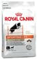 Sporditegevusega tegelevad koerad Royal Canin Sporting Life Agility 4100 Large Dog, 15 kg hind ja info | Koerte kuivtoit ja krõbinad | hansapost.ee