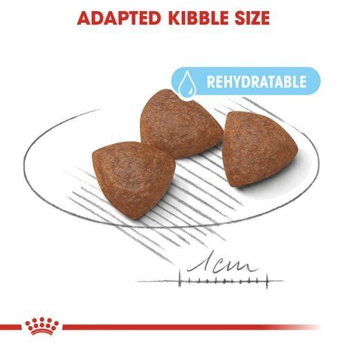 ROYAL CANIN emased ja nende kutsikad Medium starter, 4 kg hind ja info | Koerte kuivtoit ja krõbinad | hansapost.ee