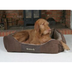 Scruffs & Tramps лежак для питомца Chester, M 60x50 см, коричневый 1165 цена и информация | Лежаки, домики | hansapost.ee