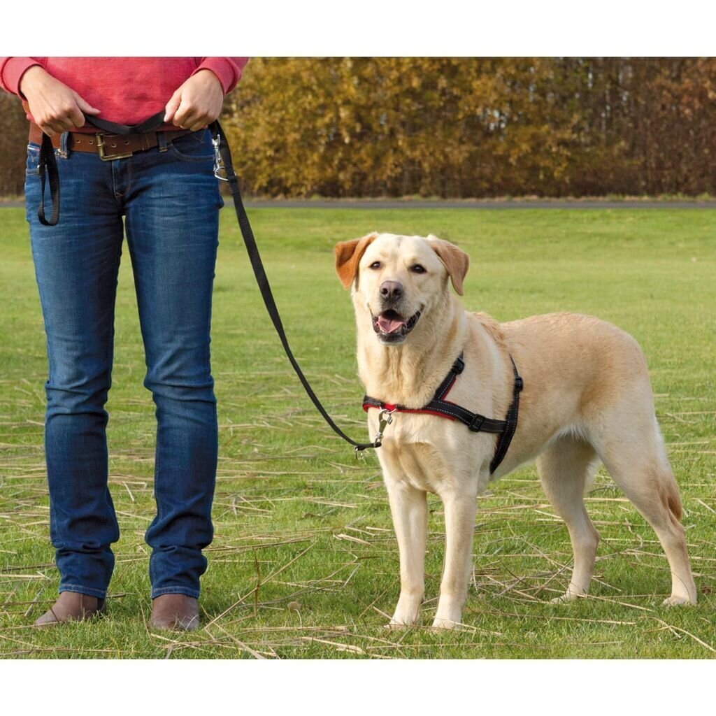 Traksid koerale Trixie Lead Walk Soft, L-XL, 65-105cm hind ja info | Koerte kaelarihmad ja traksid | hansapost.ee