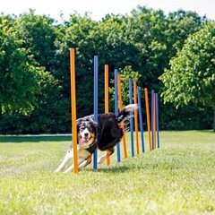 Тренажер слалом Trixie Agility цена и информация | Средства для дрессировки собак | hansapost.ee