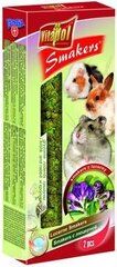 Vitapol Smakers лакомство для кроликов и грызунов с люцерной 90г (2 шт) цена и информация | Корм для грызунов | hansapost.ee