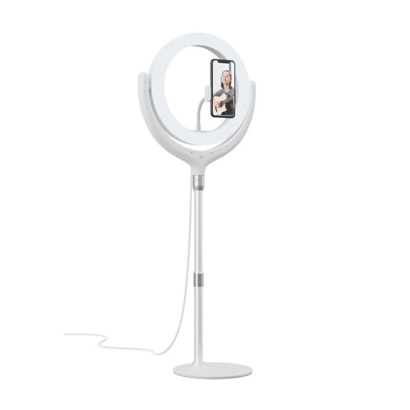 Devia telefonihoidja LED lamp 40cm valge цена и информация | Selfie pulgad | hansapost.ee
