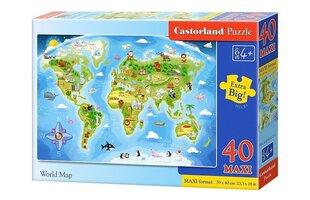 Puzzle 40 World Map 040117 hind ja info | Pusled lastele ja täiskasvanutele | hansapost.ee