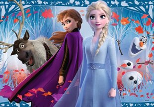 Pusle Ravensburger Lumekuninganna 2 (Frozen 2) Teekond tundmatusse, 2x12-osa, 5009 hind ja info | Pusled lastele ja täiskasvanutele | hansapost.ee
