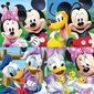 Pusle Educa Borras Mickey Mouse (Miki Hiir), 4 tk цена и информация | Pusled lastele ja täiskasvanutele | hansapost.ee