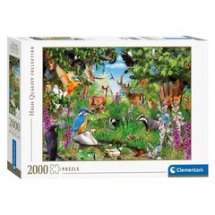 Pusle Clementoni Maagiline mets, 2000-osaline hind ja info | Pusled lastele ja täiskasvanutele | hansapost.ee