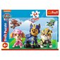 Pusle Trefl Käpapatrull (Paw Patrol), 54 tk цена и информация | Pusled lastele ja täiskasvanutele | hansapost.ee